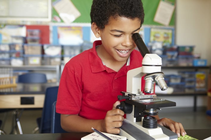 Implementing NGSS 