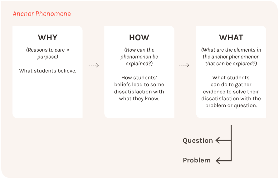 Why How What Model with Question and Problem