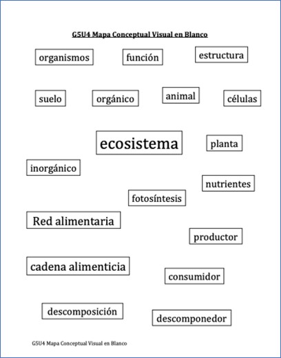 Spanish language concept map for ecosystem
