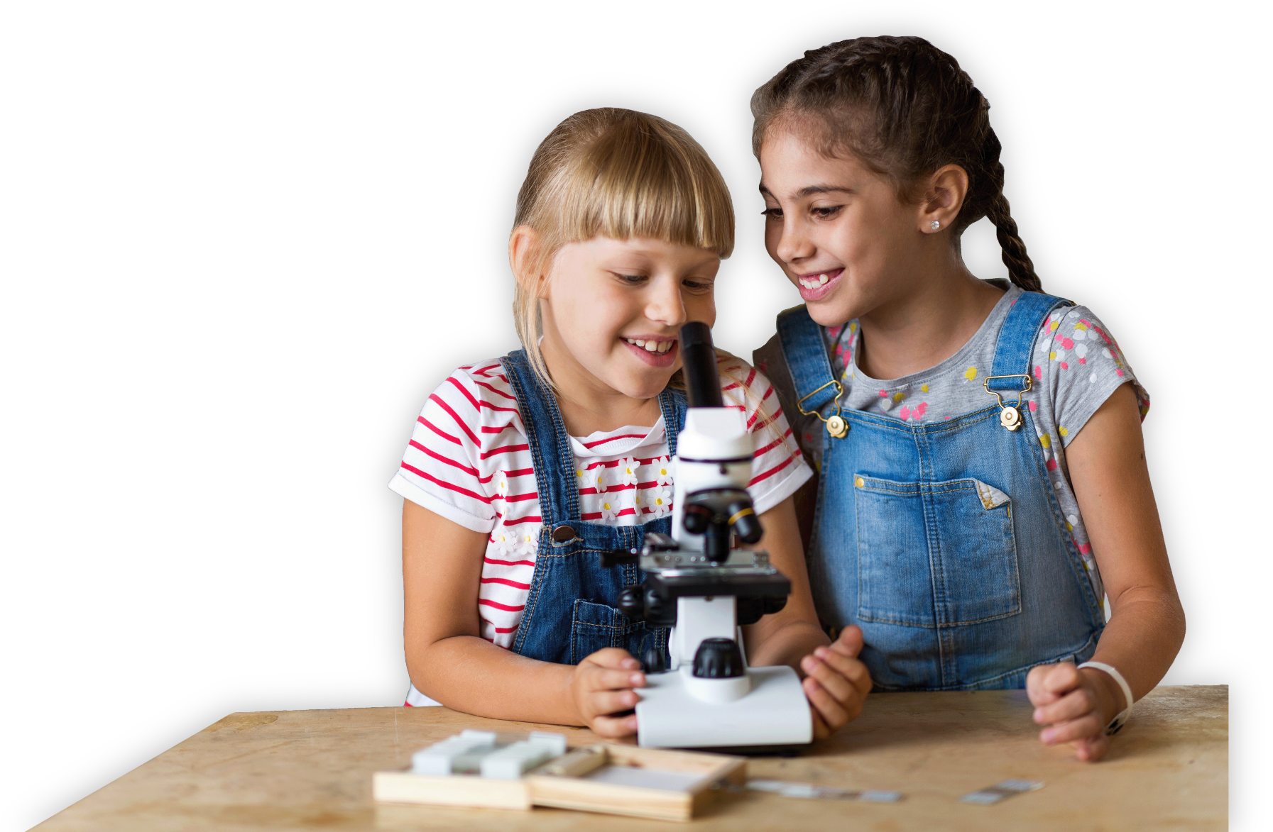 Students looking at microscope