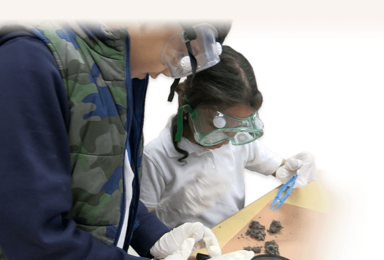 STEM Curriculum