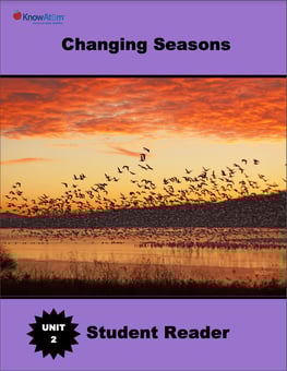 Seasonal-Patterns2-1