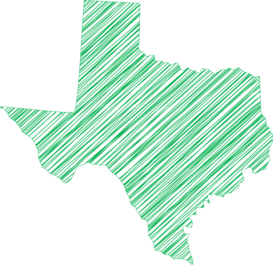 TX-NGSS-state
