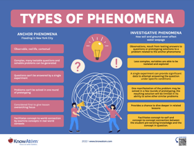 Types of Phenomena Anchor Chart Poster