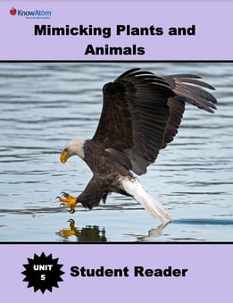 bird-beak-structure-and-function