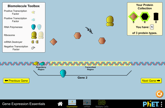 gene-expression-essentials-600