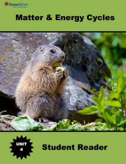 plant-and-animal-cells