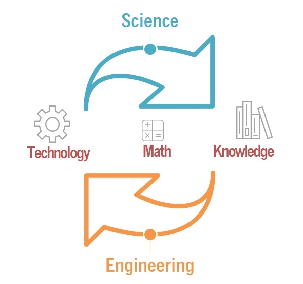 STEM cycle