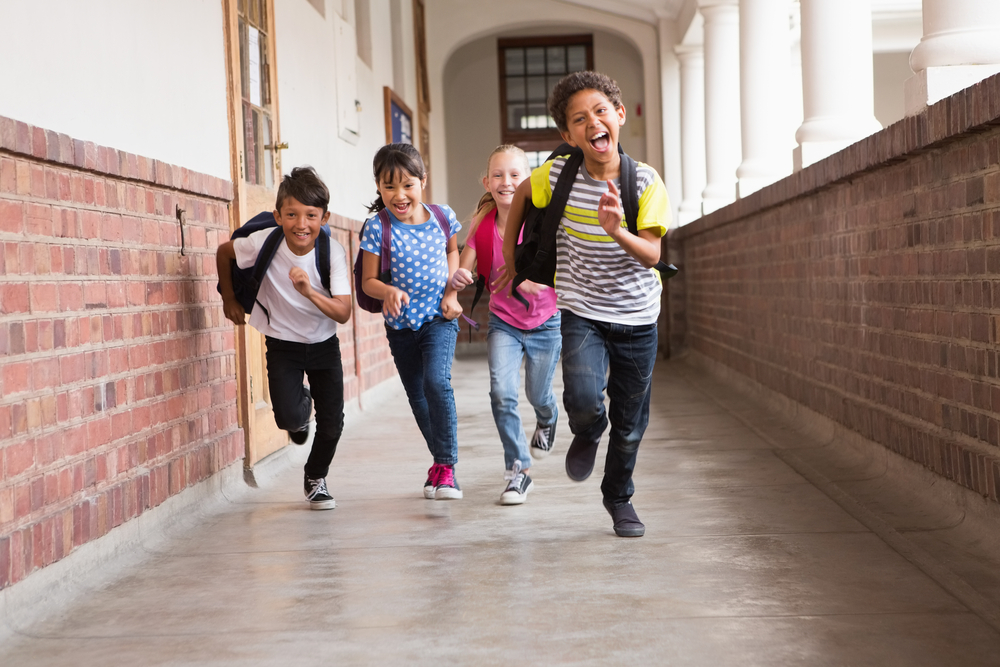 Professional Development for Teachers