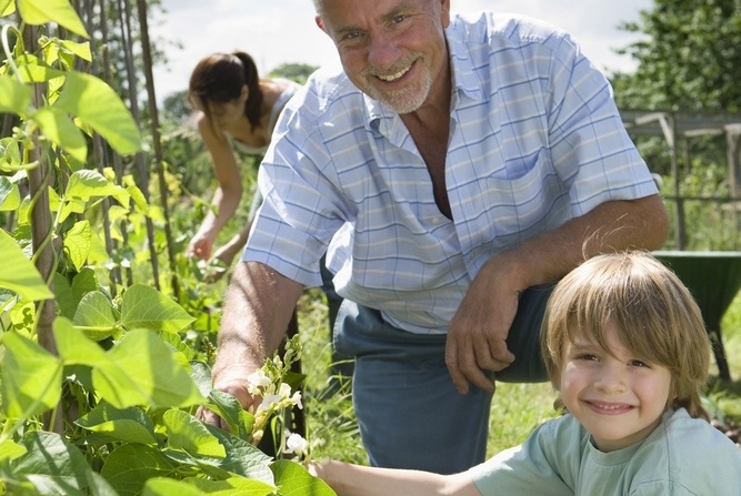 rural-stem-classroom-594698-edited